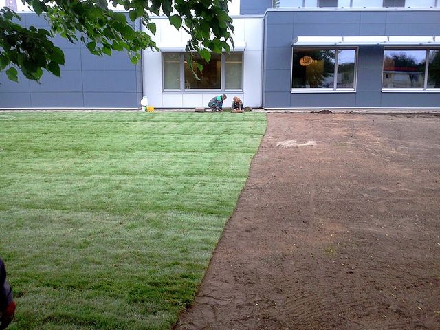 Paklājzāliena ieklāšana 1400 m2, grāvju nogāžu stiprināšana ar dabīgo ģeopaklāju 945 m2, zāliena un apstādījumu ierīkošana 4000m2. 2