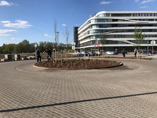 Zāliena un apstādījumu ierīkošana, palisāžu konstrukciju izveidošana, nogāzes veidošana un stiprināšana, salmu paklāja ieklāšana nogāzēs, bruģa ieklāšana 6