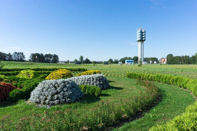 Vides elementa - topiārija uzstādīšana, zāliena un apstādījumu ierīkošana 2