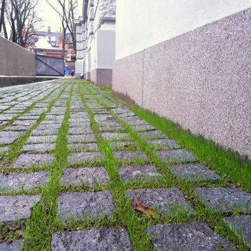 Betona un granīta bruģa/plākšņu ieklāšana ceļiem un laukumiem, ar zālienšūnām stiprināta grants seguma izveide, grants celiņa izbūve koku alejā, ceļa barjeras uzstādīšana, jumta dārza ierīkošana, zāliena un apstādījumu ierīkošana, labiekārtojuma elementu uzstādīšana 18