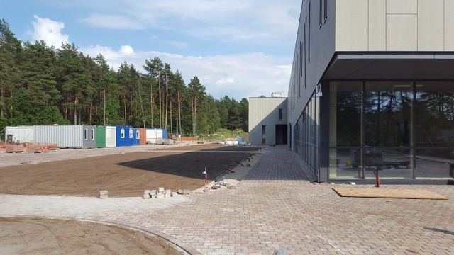 Segumu izbūve, zāliena un apstādījumu ierīkošana 10