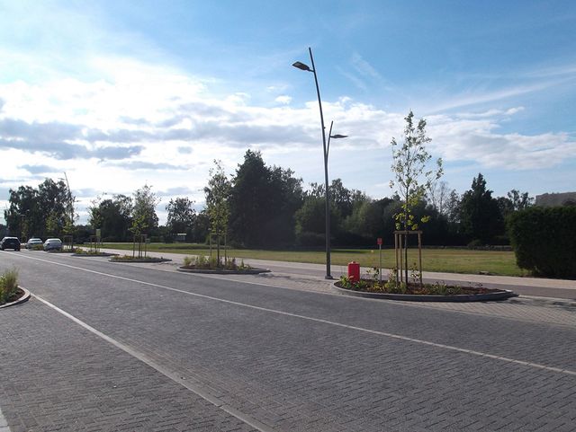 Zāliena un apstādījumu ierīkošana 3
